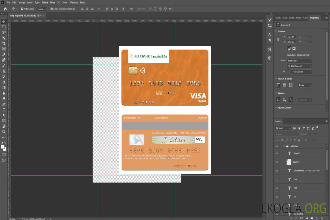 Carte de débit visa de la Banque égyptienne d'Alexandrie template